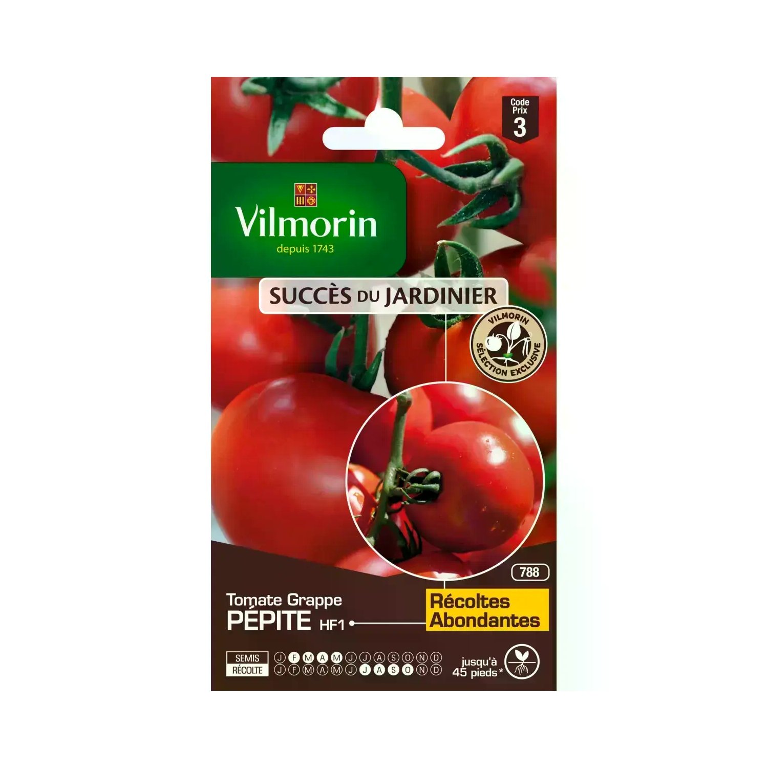 Sachet graines Tomate fournaise HF1