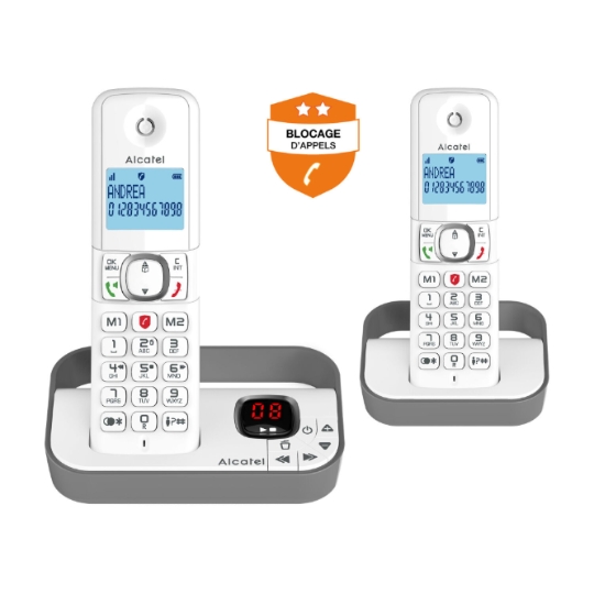 Téléphone fixe sans fil avec répondeur Duo F860 Voice - Gris ALCATEL : le téléphone  fixe à Prix Carrefour